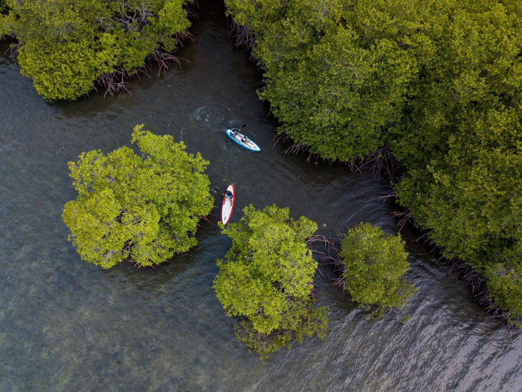 Kayaking