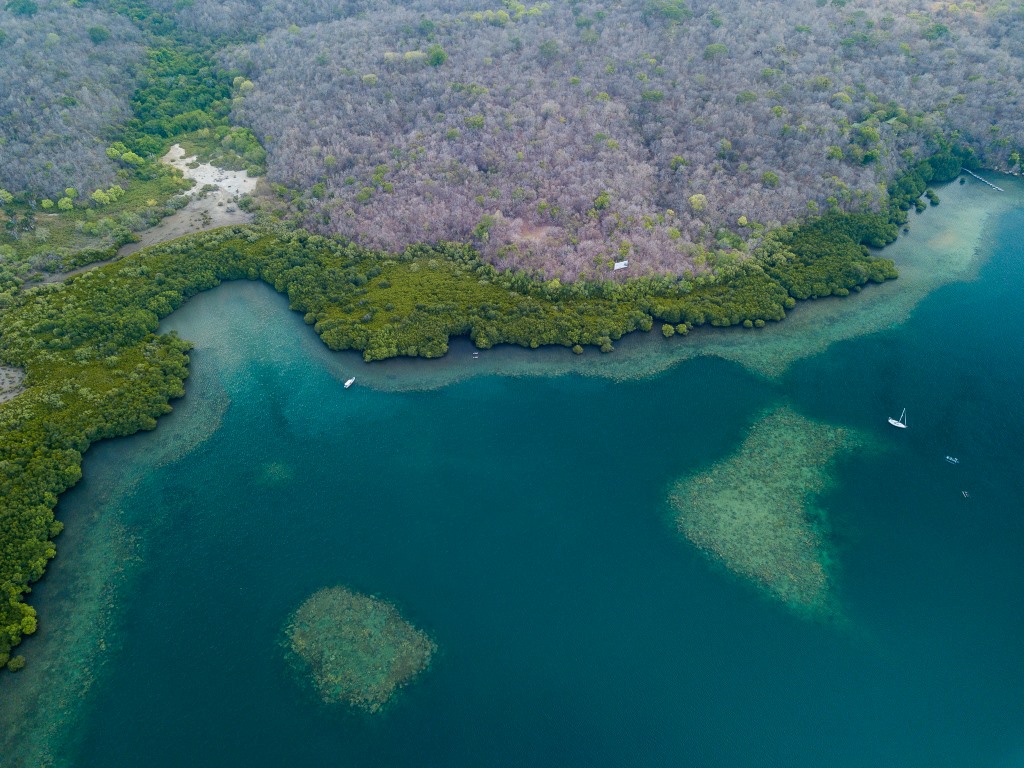 Mangrove Banyuwedang Bay